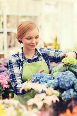 Image showing happy woman taking care of flowers in greenhouse