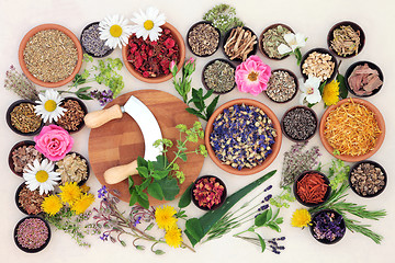 Image showing Natural Flower and Herb Medicine