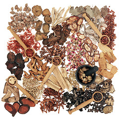 Image showing Traditional Chinese Herbal Medicine