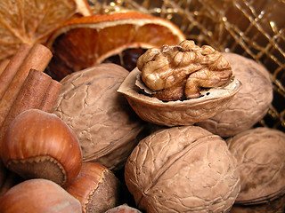 Image showing nuts