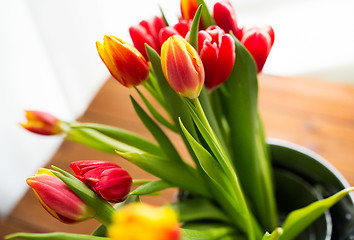 Image showing close up of tulip flowers