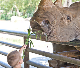 Image showing baby in the Zoo