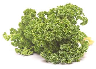 Image showing fresh green parsley