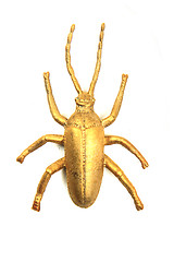 Image showing golden beetle isolated