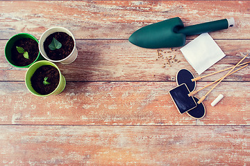 Image showing close up of seedlings, trowel and nameplates