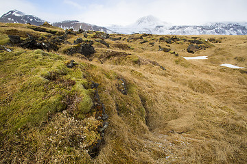 Image showing Basalt stones at the cave near Vik, Iceland