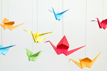 Image showing  colorful origami birds