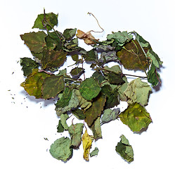 Image showing dried patchouli on white