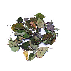 Image showing colorful dried patchouly leaves