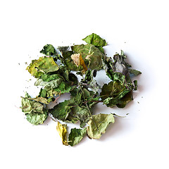 Image showing dried patchouli leaves on white