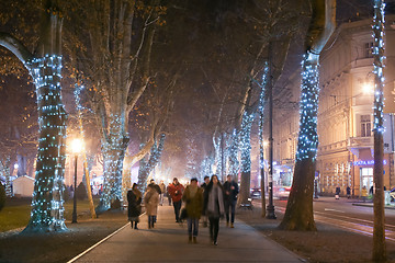 Image showing Illuminated tree alley on Zrinjevac