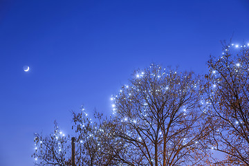 Image showing Illuminated treetop at Advent time