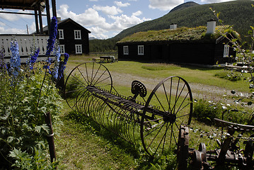 Image showing Farm