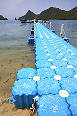 Image showing plastic pier  coastline of a  green lagoon wild angle