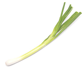 Image showing fresh green onion