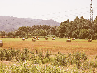 Image showing Retro looking Hay bale