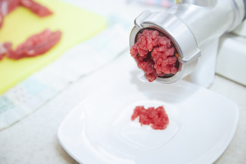 Image showing Mincing machine with forse meat