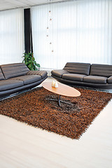 Image showing Two sofas