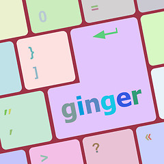 Image showing ginger word on keyboard key, notebook computer button vector illustration