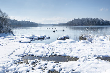 Image showing Osterseen witner scenery