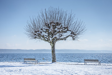 Image showing winter scenery at Tutzing Bavaria