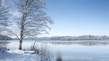 Image showing Osterseen witner scenery