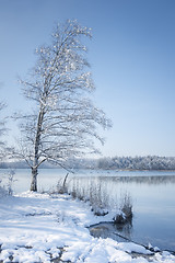 Image showing Osterseen witner scenery