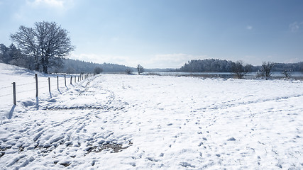 Image showing Osterseen witner scenery