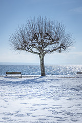 Image showing winter scenery at Tutzing Bavaria