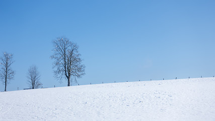 Image showing winter scenery background