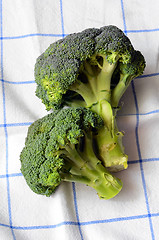 Image showing Bunch of fresh green broccoli