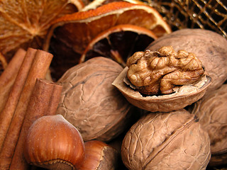 Image showing nuts