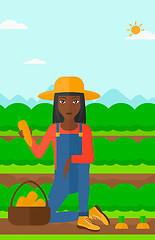 Image showing Farmer collecting carrots.