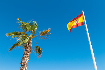 Image showing Spanish flag and palm tree in the blue sky