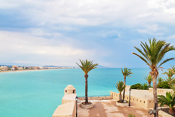 Image showing Turquoise sea and palm trees of Peniscola, Spain