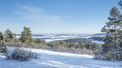 Image showing winter scenery Büchelberg Münklingen