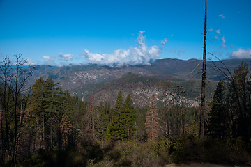 Image showing Yosemite Valley View