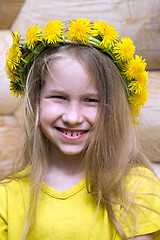 Image showing little girl in dandelion crown