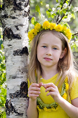 Image showing girl in dandelion crown