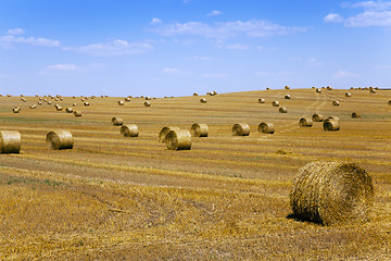 Image showing straw stack.  harvesting