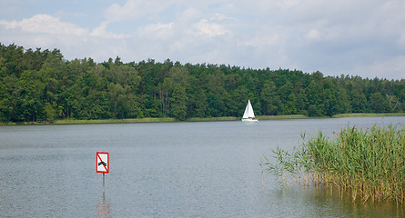 Image showing White small yachts against forest