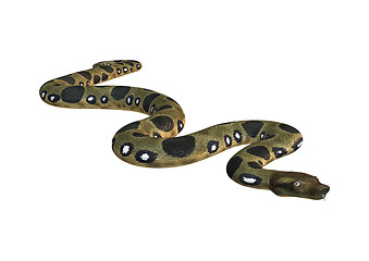 Image showing Green Anaconda on White