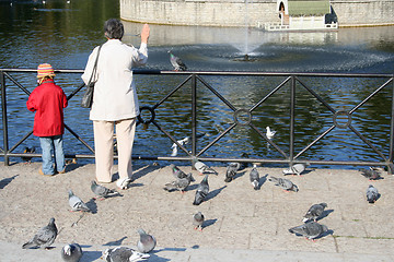 Image showing Feeding birds