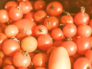 Image showing Retro looking Tomatoes picture