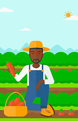 Image showing Farmer collecting carrots.