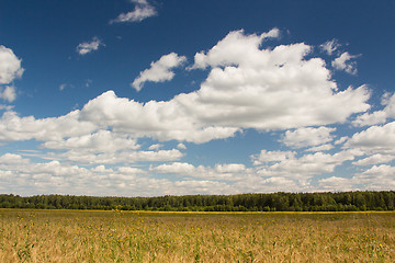 Image showing Gold wheat field