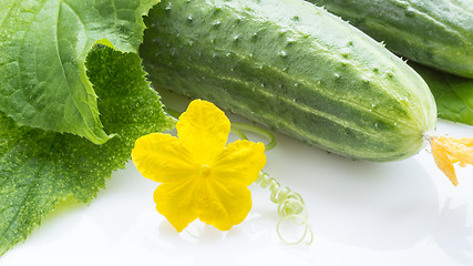 Image showing Fresh cucumbers closeup