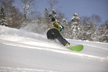 Image showing snowboarder woman enjoy freeride on fresh powder snow