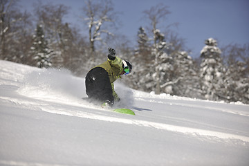 Image showing snowboarder woman enjoy freeride on fresh powder snow