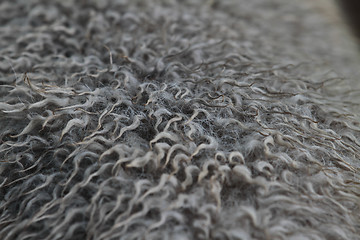Image showing Sheep fur